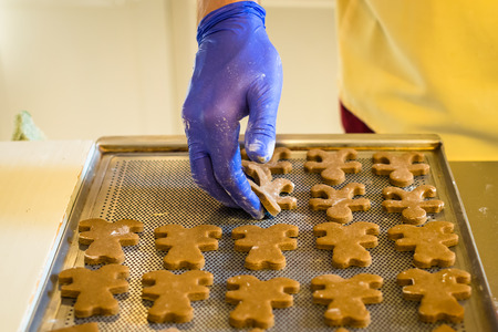 hand lay the dough in the shape of a bear on the baking trayの写真素材