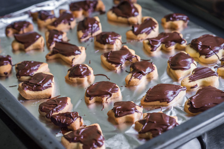 delicious cookies with chocolate for baking sheetの写真素材