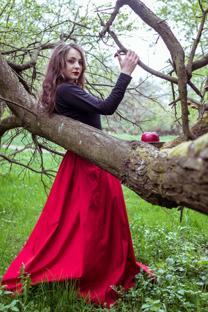 beautiful woman in a red dressの写真素材