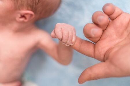 Babys hand holding fingerの写真素材