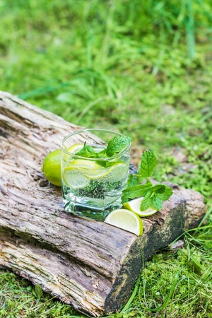 Glass of water with mint and limeの写真素材