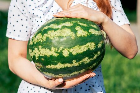 A young woman is holding a whole watermelon. Ripe watermelon in the hands of woman. The concept of healthy nutrition and vegetarianism.の写真素材