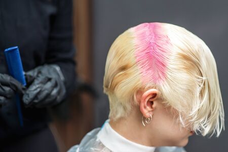 Hairdresser applies pink dye on woman's hair in beauty salon.の写真素材