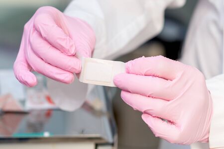 Close up band aid sticky plaster in hands of nurse.