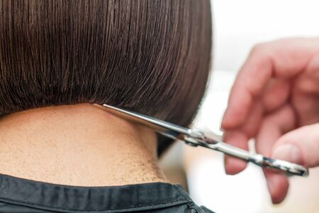 Hairdresser cuts hair tips of woman back view.の写真素材