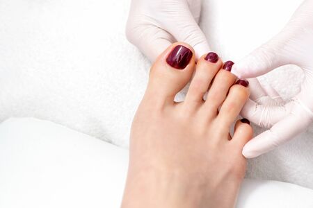 Pedicurist hands showing woman toenails painted in dark red color, top view.の写真素材