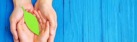Top view of green paper leaf in hands of adult and child on wooden blue background. Copy space. Banner for site.の写真素材
