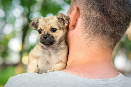 Close up of little purebred sad puppy sitting on shoulder of young man outdoorsの写真素材