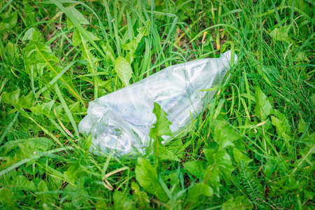 Crumpled plastic bottle lying in green grass. Concept of environmental protectionの写真素材