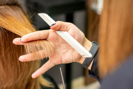Close-up back view of hairdresser cuts red or brown hair to young woman in beauty salon. Haircut in hair salonの写真素材