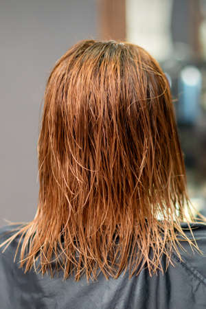 Back view of beautiful wet long red straight hair of young woman in hair salonの写真素材