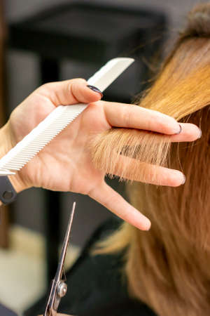 Close-up back view of hairdresser cuts red or brown hair to young woman in beauty salon. Haircut in hair salonの写真素材