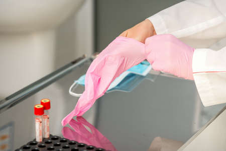Female doctor wearing rubber protective gloves on her hands in the labの写真素材