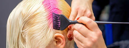 Hand with paintbrush dyeing white hair of woman in pink color at hair salon