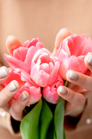 Closeup of pink tulip buds in hands of a young woman. Pink flowers in female handsの写真素材