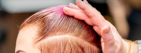 Male hairdresser combing hair making short pink hairstyle for a young caucasian woman in a beauty...