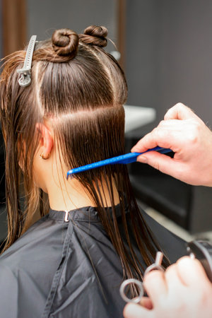Rear View of male hairdresser combing wet hair of young caucasian woman divides into sections in a hair salonの写真素材