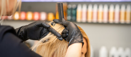 Hairdresser combing clients female hair before dyeing hair in a hair salonの写真素材