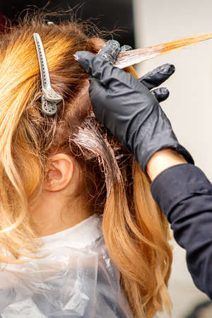 Closeup back view of hairdressers hands in gloves applying dye to a strand of hair of redhead young woman in a hair salonの写真素材