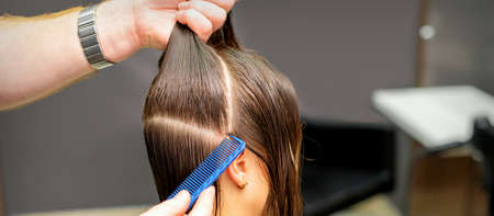 Male coiffeur divides women hair into sections with comb and hands in a beauty salonの写真素材