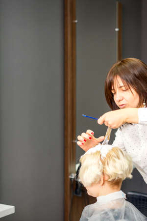 The professional hairdresser is dyeing the hair of her female client in a beauty salonの写真素材
