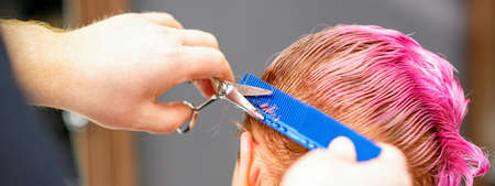Professional hairstylist is cutting short pink hair with scissors in hair salon close up