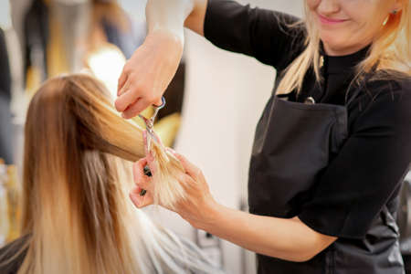 Cutting female blonde hair. Hairdresser cuts hair of a young caucasian woman in a beauty salon close...