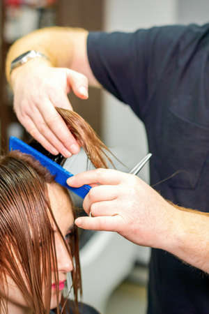 The hairdresser cuts the hair of a brunette woman. Hairstylist is cutting the hair of female client...