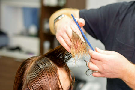 Hands of hairdresser hold hair strand between his fingers making haircut of long hair of the young woman with comb and scissors in hairdresser salon, close upの写真素材