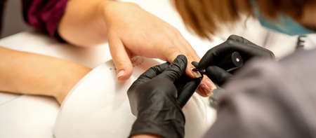 Manicure painting process. Manicure master paint the nails with transparent varnish in a nail salon,...