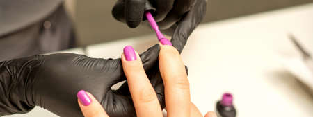 Professional manicure. A manicurist is painting the female nails of a client with purple nail polish...