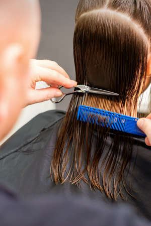 Haircut of long wet hair of young caucasian woman by a male hairdresser in a hairdresser salon, back...
