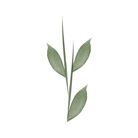 A digital illustration of a single flower stem. It features watercolor style green leaves arranged along a central stem. It has a simple, natural appearance.のイラスト素材