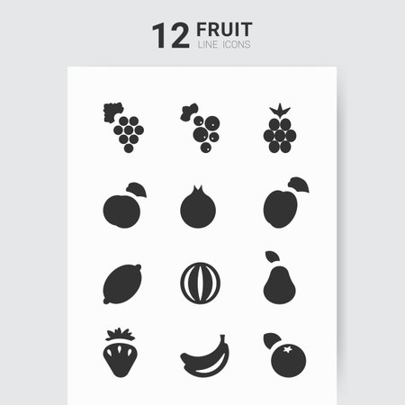 This display features twelve different fruit line icons arranged in two columns. Each icon represents a unique fruit, designed in a simple, monochrome style suitable for various applications.のイラスト素材