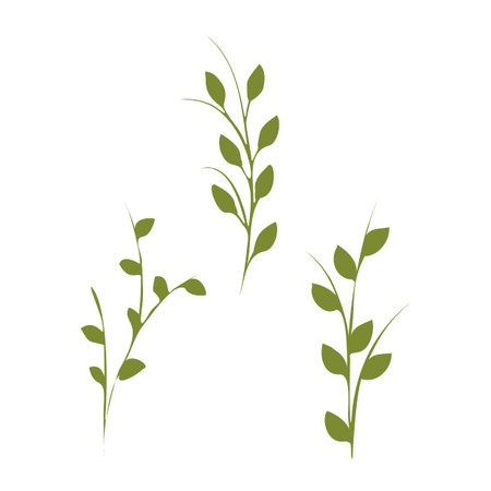 A trio set of green plant stems with simple leaves stands upright on a clean white background. These graphic botanical elements offer a fresh and natural design for decorative purposes or patterns.のイラスト素材
