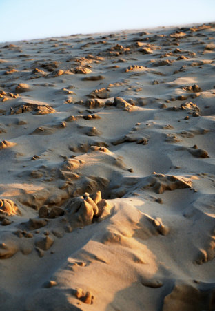 Coastal dune of Pilat is photographed at sunset  The beige surface is not smooth  It is covered pits and hillockes の写真素材