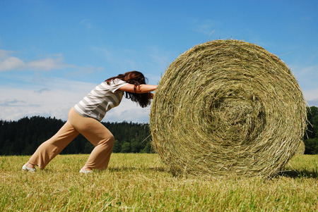 Young woman is pushing on with the big straw bale  She is doing utmost against the country landscape with field gathered の写真素材