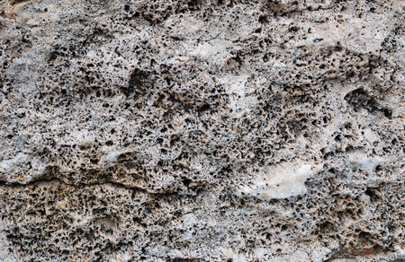 Porous surface on stone is formed with coral fossilized long ago の写真素材
