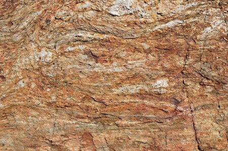 Surface of the calcareous rock is photographed closely.
