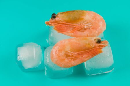 Two cooled shrimps lie on ice cubesの写真素材