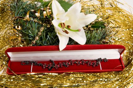Gift to Christmas.の写真素材
