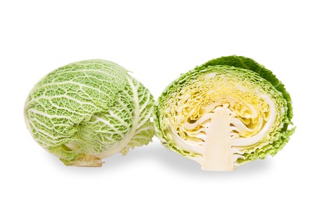 Green Savoy Cabbage   - Isolated on White Backgroundの写真素材