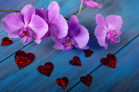 Purple Orchid and  hearts  on blue, old wooden backgroundの写真素材