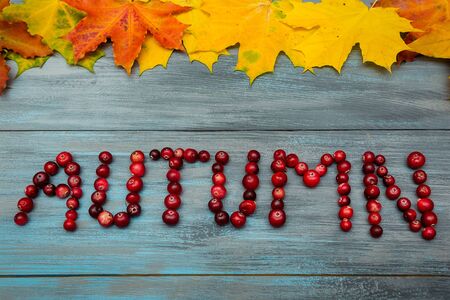 Autumn leaves on a blue wooden background and AUTUMN text with cranberriesの写真素材