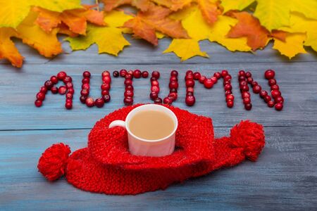Autumn leaves on blue wooden background, AUTUMN text with cranberries and coffeeの写真素材