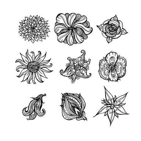 set of decorative floral elements. hand-drawn black and white illustration vectorのイラスト素材