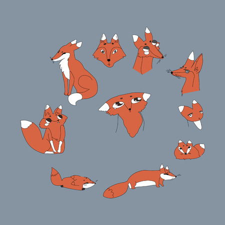 cute cartoon foxes set. color vector illustration.のイラスト素材