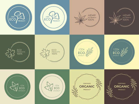 Floral design collection. Hand drawn plants in a minimalist design. Vector.のイラスト素材