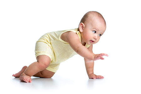 funny crawling baby isolated on white backgroundの写真素材