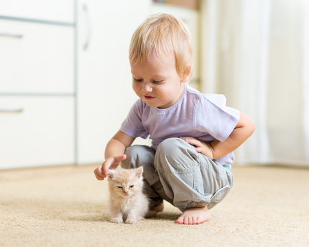 Funny toddler kid boy plays with kitten in nursery roomの写真素材